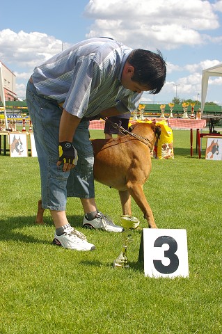 24. júna 2007 15:15:29